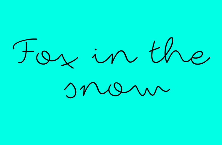 Fox in the snow Font