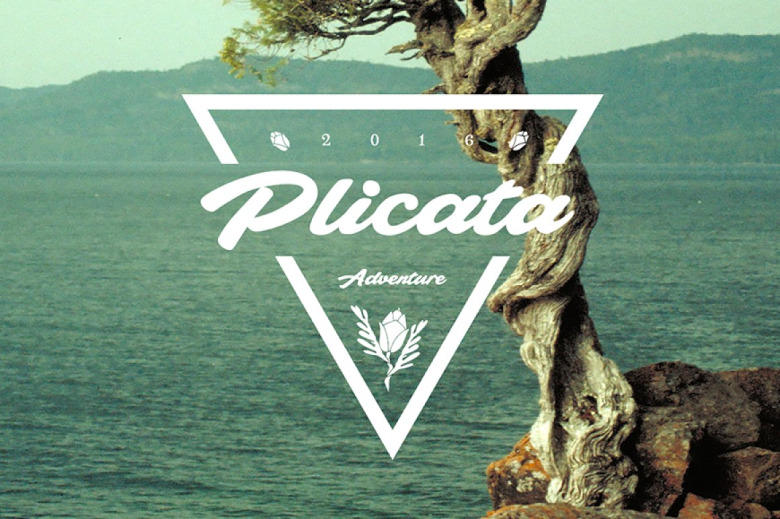 Plicata-Font