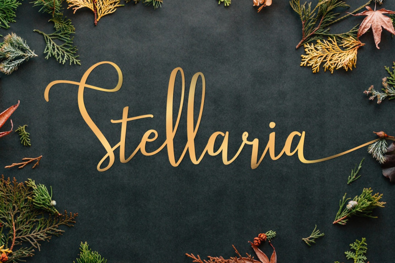 Stellaria Font