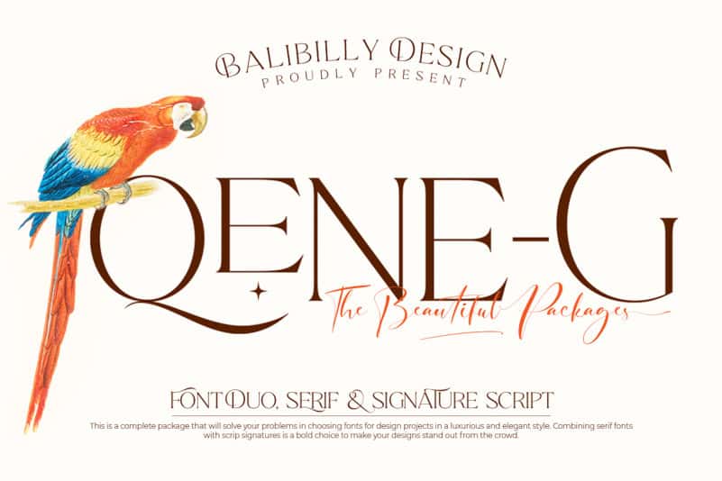 Qene-G_Balibilly-Design_Preview-Image_01