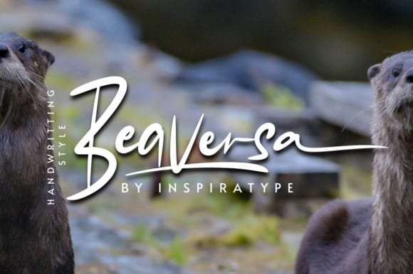 beaversa-4
