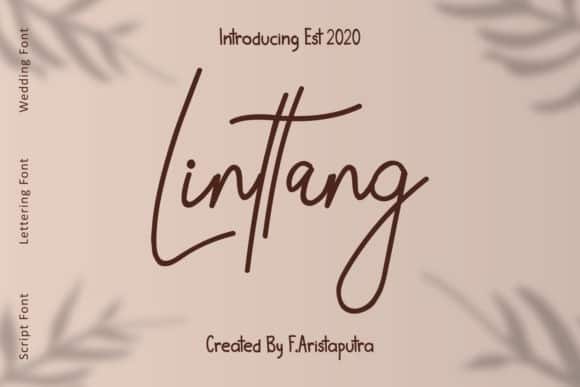 linttang-font-4