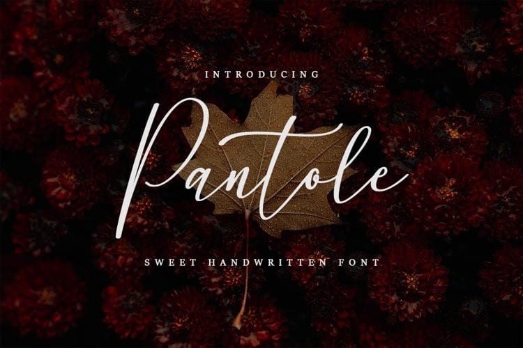 pantole-font-5