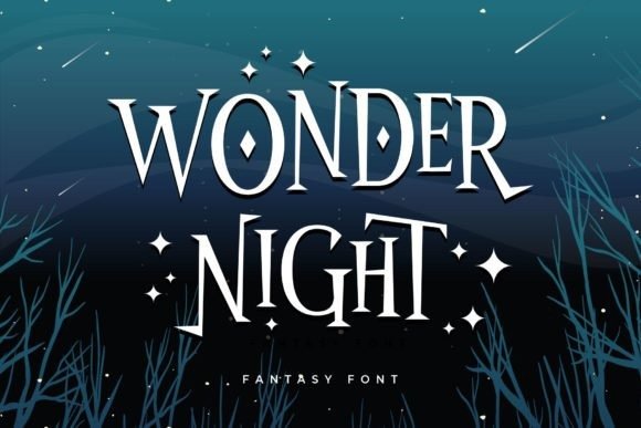 wonder-night-5