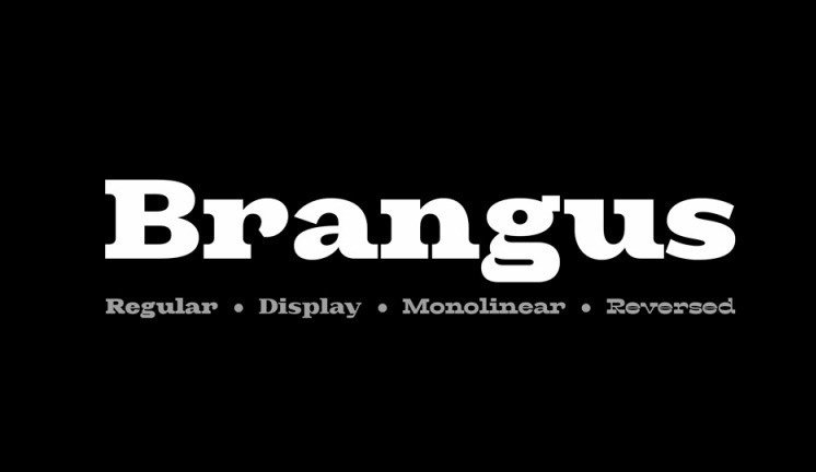 Brangus-3