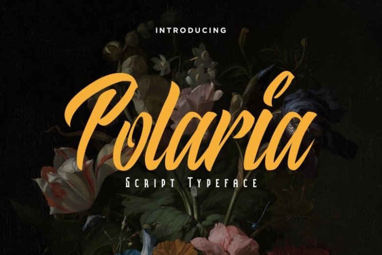 Polaria-Script-Typeface-Cover