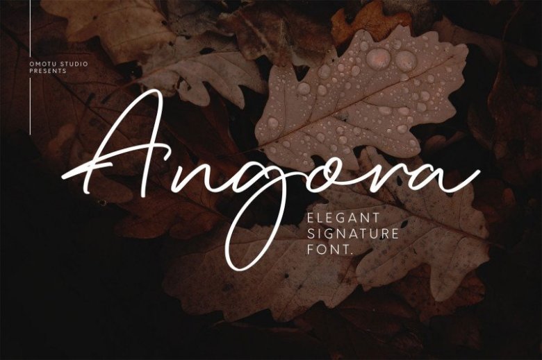 angora-4