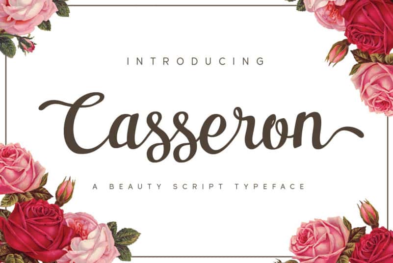 casseron-mock-up-01