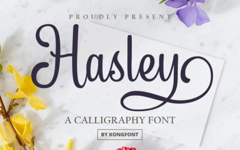 hasley-800x500