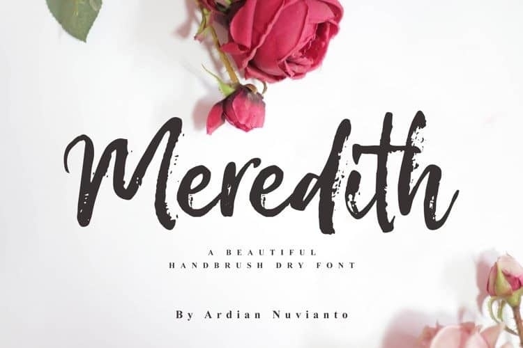 meredith-4