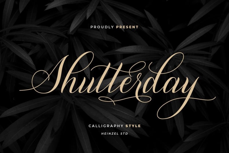 shutterday-4
