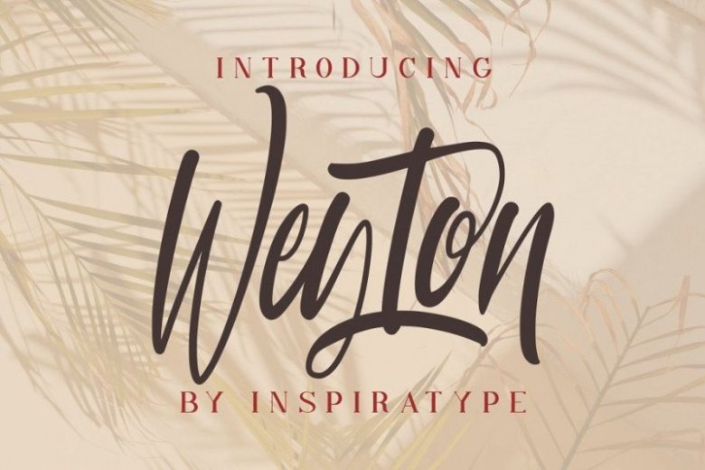 weyton-calligraphy-font