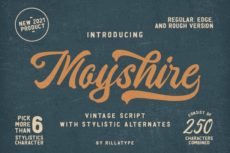 moyshire-4