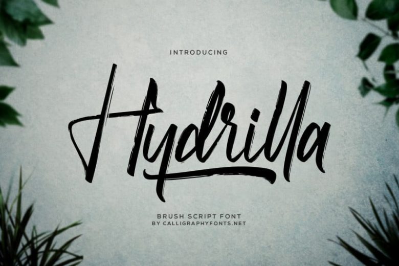 Hydrilla Textured Brush Font