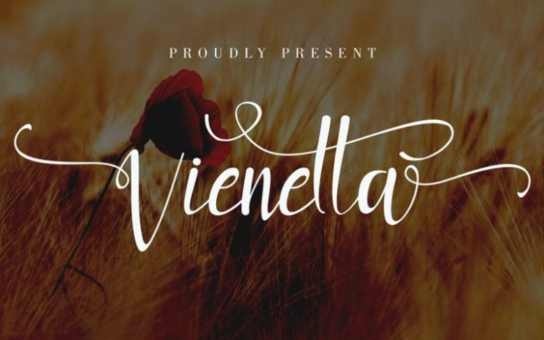 vienetta-800x500