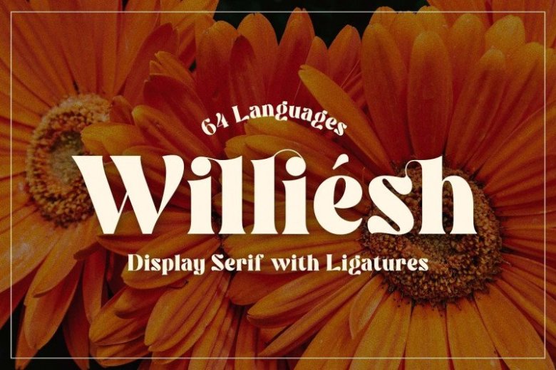 williesh-font