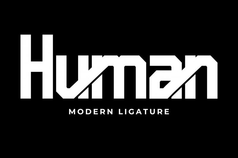 pro-human-4