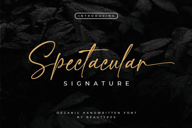 Spectacular Font