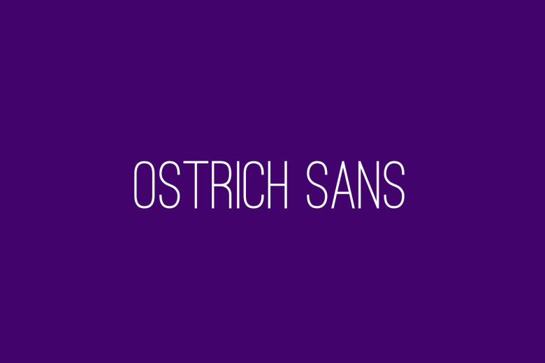 Ostrich Sans Font Family