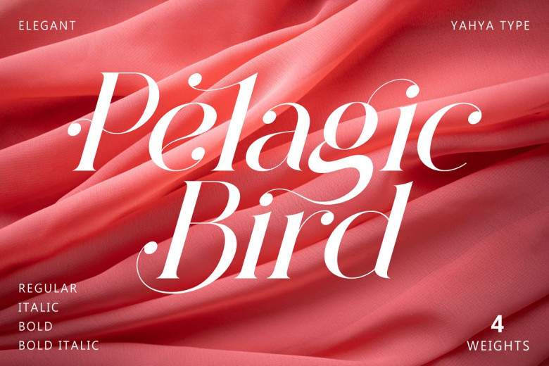 Pelagic Bird Font