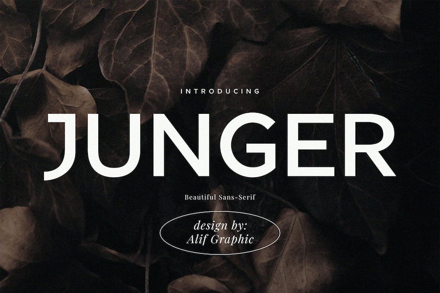 Junger Font