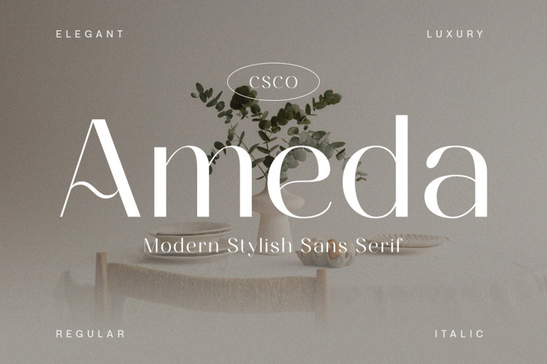 Ameda Font