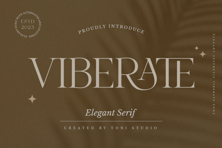 Viberate Font