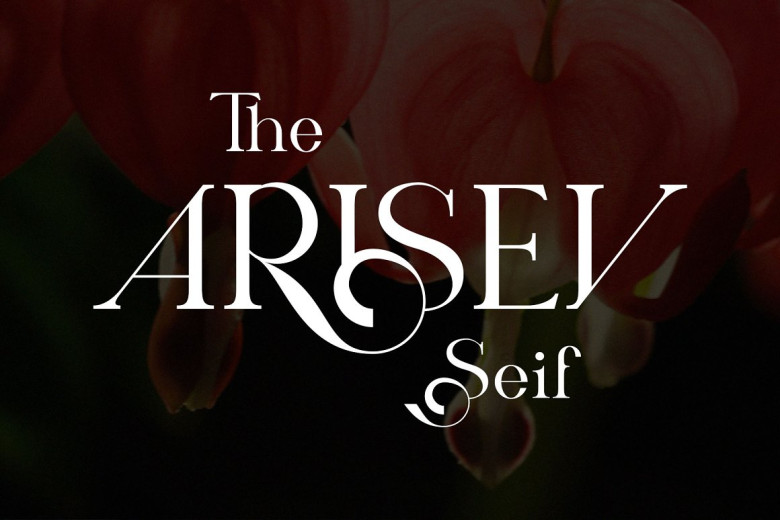 ARISEV Serif Font