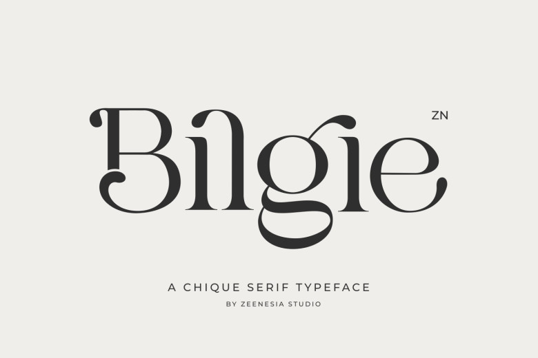 Bilgie Font