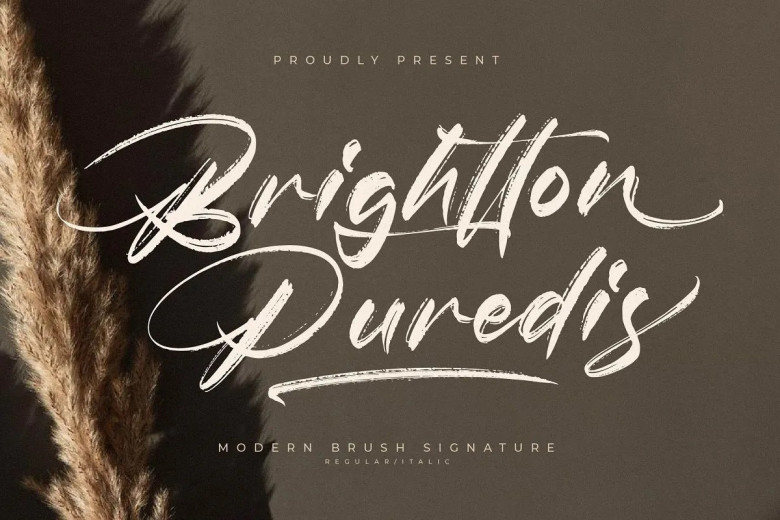 Brightton Puredis Font