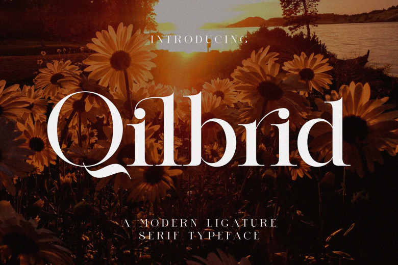 Qilbrid Font