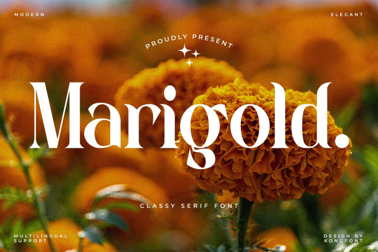 Marigold Serif Font
