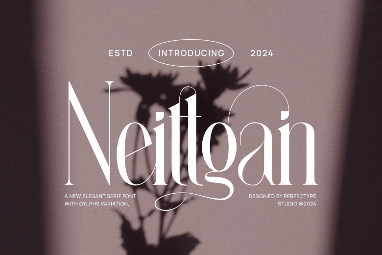 Neittgan Font