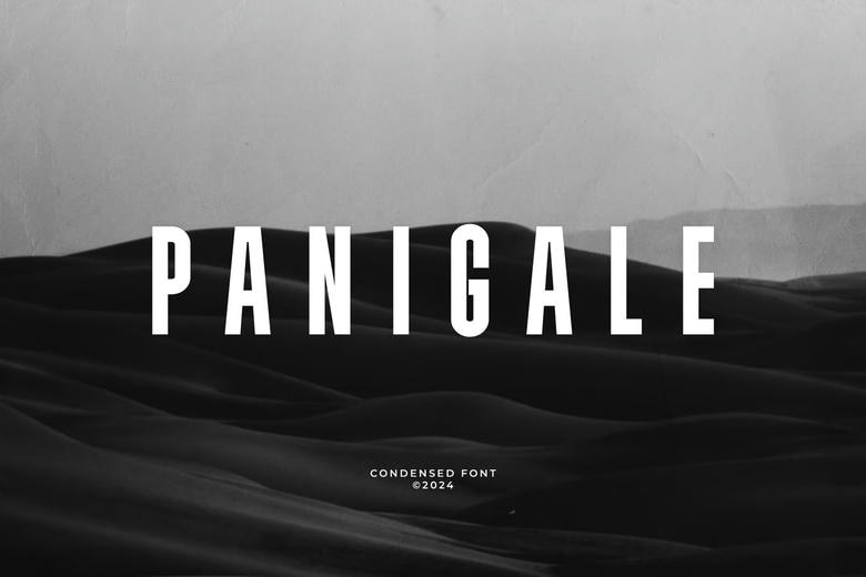Panigale-Font