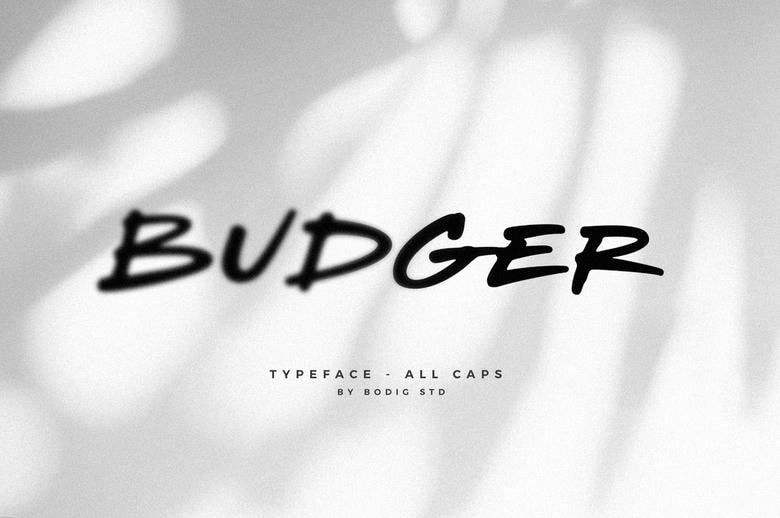 Budger Font