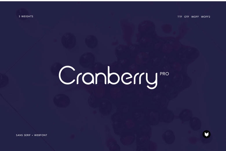 Cranberry Font