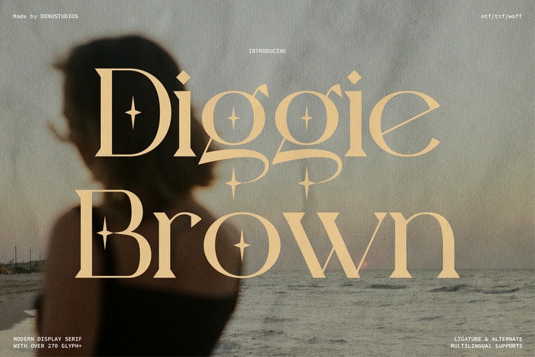 Diggie Brown Font