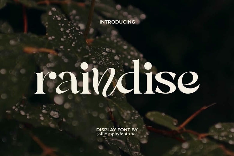 Raindise Font