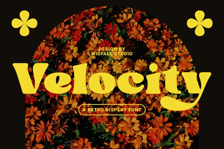 Velocity Font