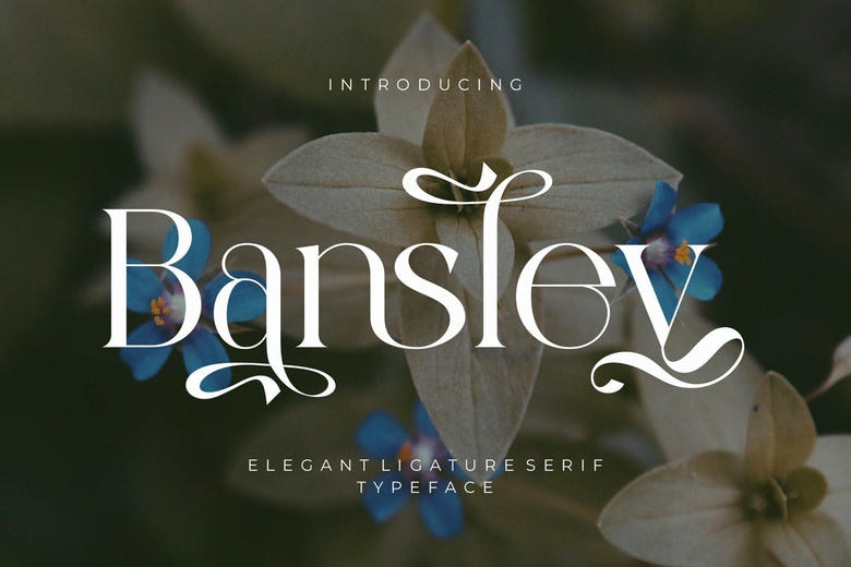 Bansley Font