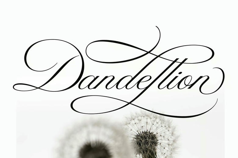 Dandellion Font