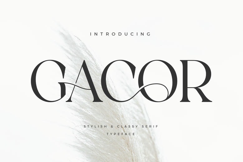 Gacor Font