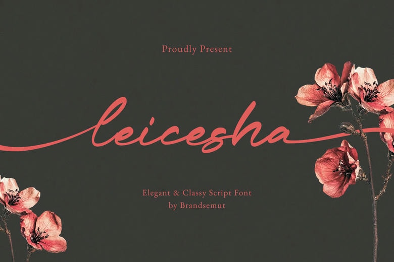 Leicesha Font