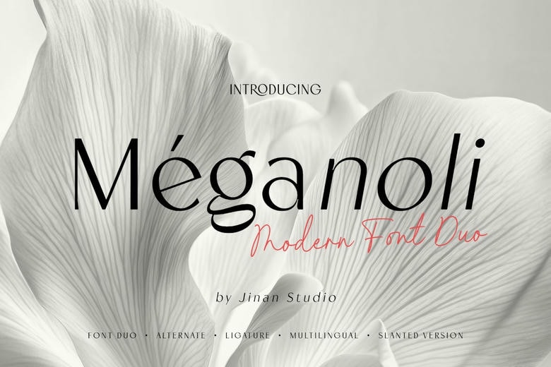 Meganoli Font Duo