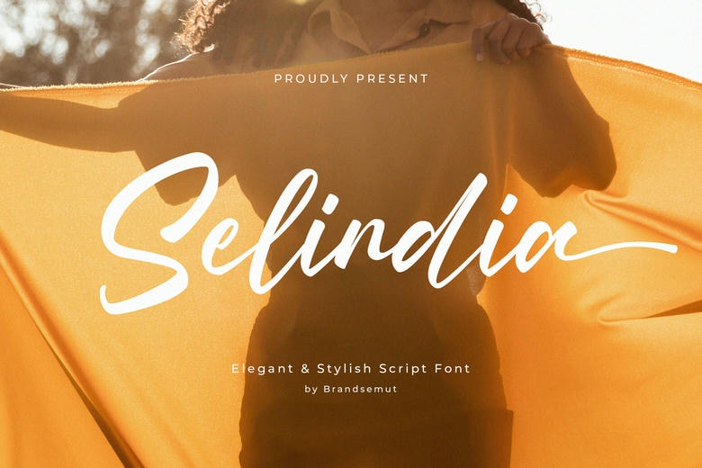 Selindia Font