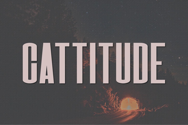 Cattitude Font