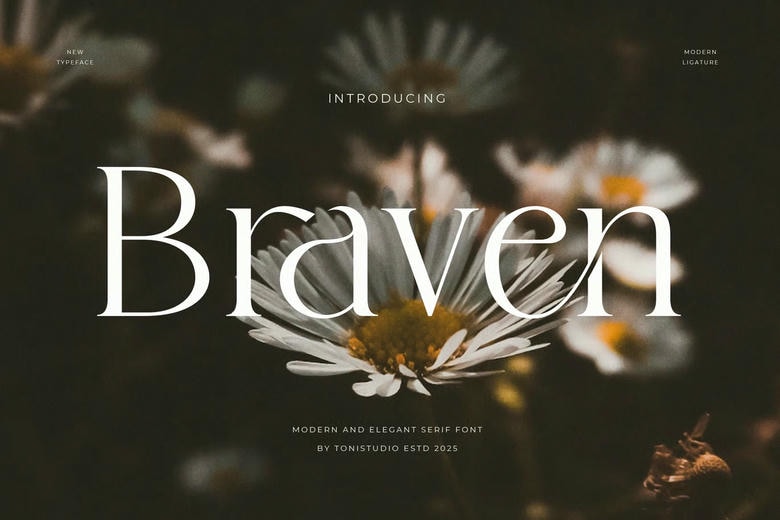 Braven Font
