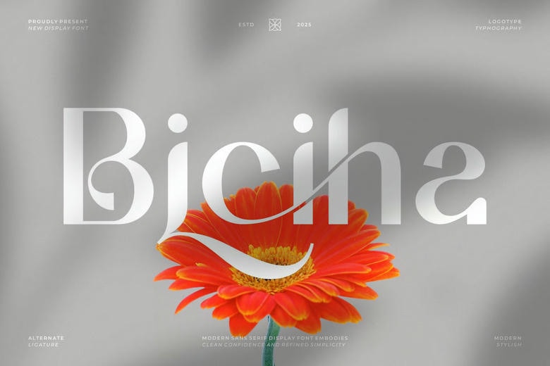Biciha Font
