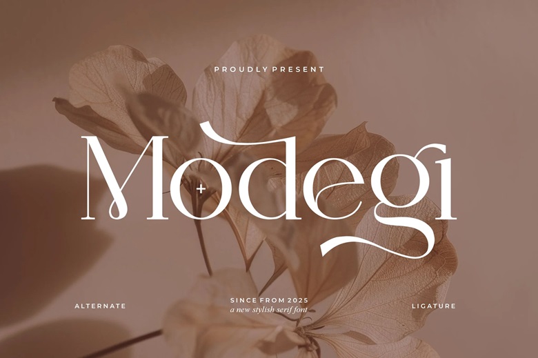 Modegi Font