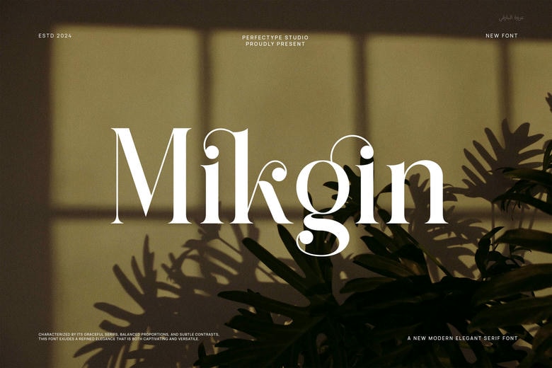 Mikgin Font